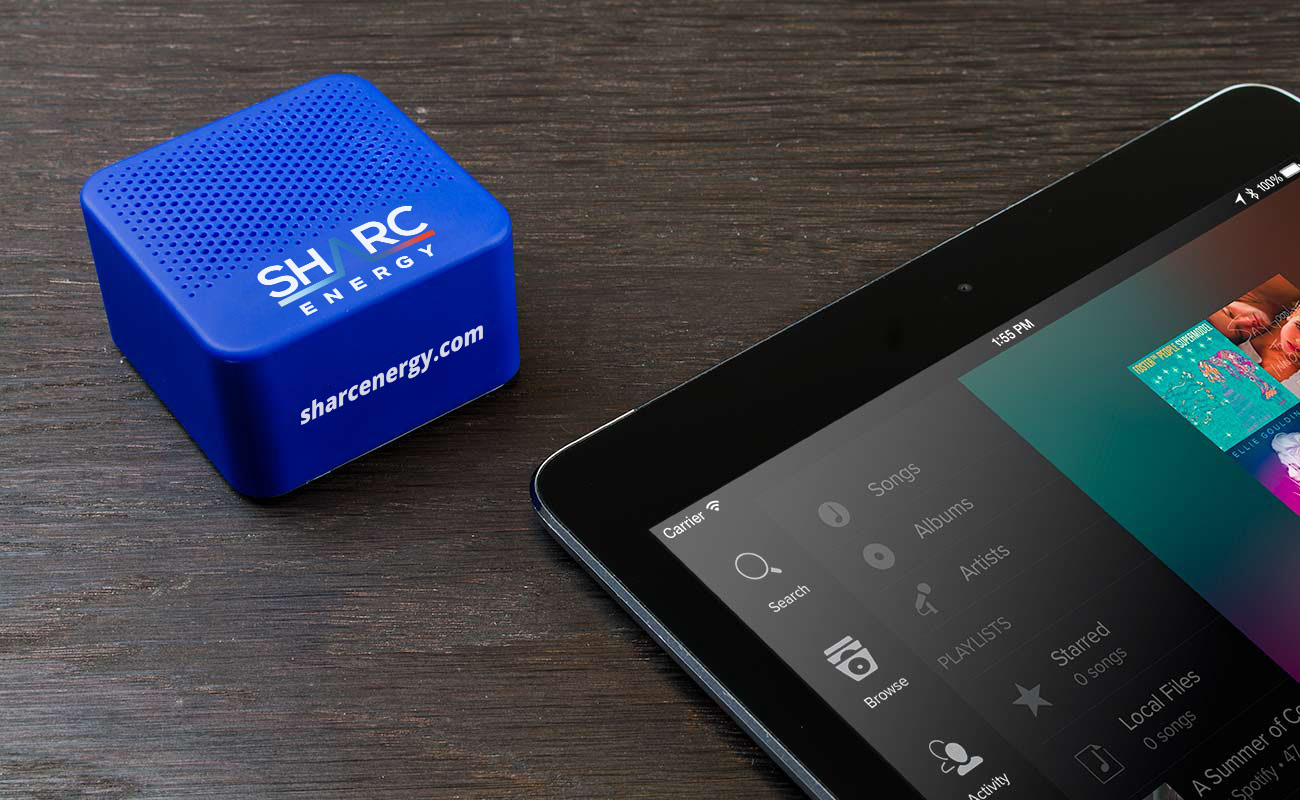 Ray - Custom Speakers gallery thumbnail